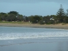 Torquay: Gateway to the Great Ocean Road