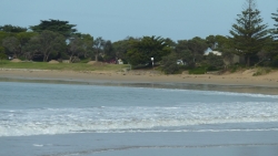 Torqauy