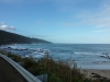 Second random roadside stop between Lorne and Apollo Bay