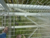 Otway fly: Don't look all 37 meters down, please.