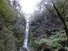 Erskine Falls