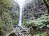 Erskine Falls