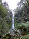 Erskine Falls