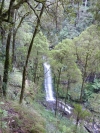 Erskine Falls