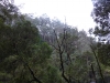 Erskine Falls