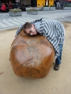 Cuddeling Warren the Wombat, on City Square.