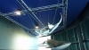 Cue whale songs!