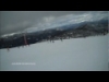 Kangaroos in the snow (Day 84 - Aug 7)