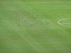 The pigeons are the best part of the game.