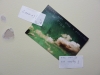 The post card I've put on the wall, to cheer it up! It was so empty and lonely.